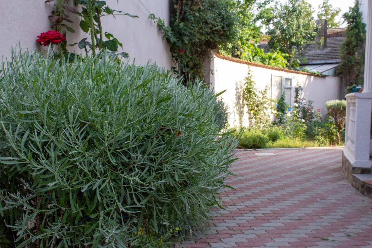 Yox Apartment 1 أرادايا المظهر الخارجي الصورة